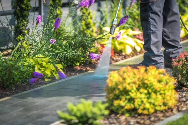 Best Parking Lot and Garage Cleaning  in Victoria, VA