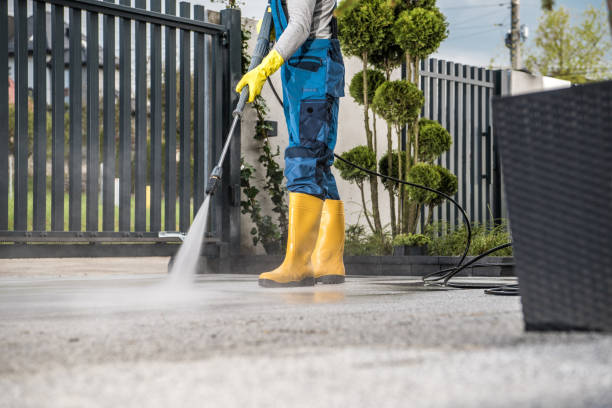 Boat and Dock Cleaning in Victoria, VA